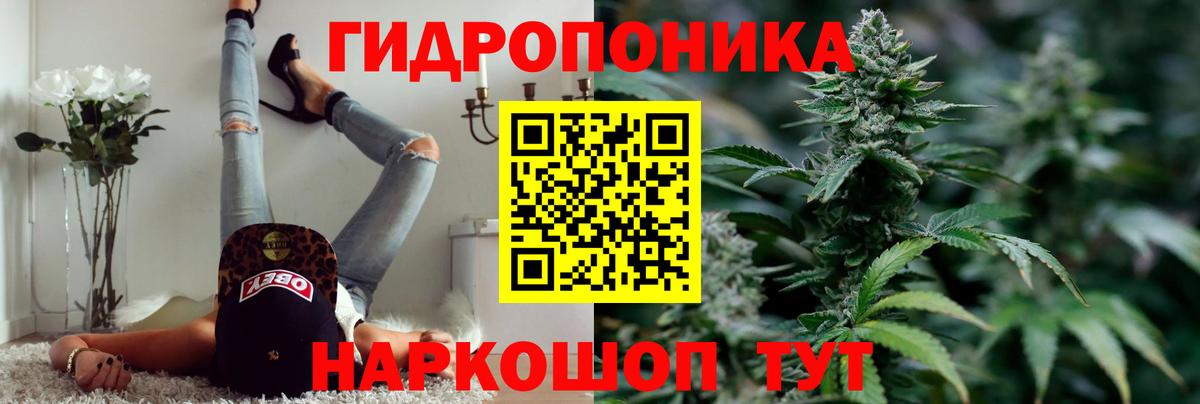 Каннабис White Widow Кимовск